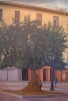 Testigo silente 