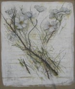 Amapolas II