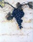 Uvas 