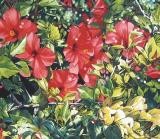 Alejandro BarrÃ³n y David MerÃ¡z